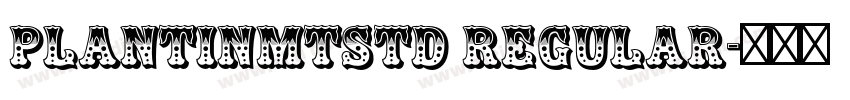 PlantinMTStd Regular字体转换